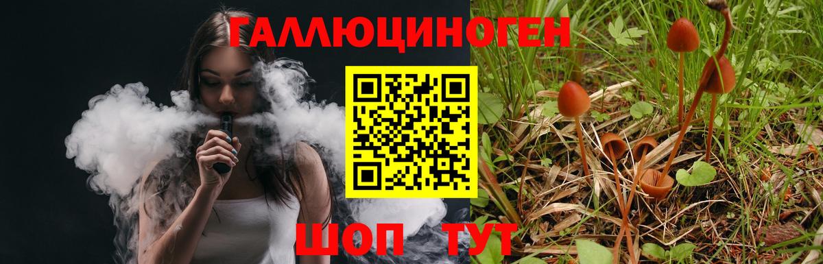 Псилоцибиновые грибы GOLDEN TEACHER  цена наркотик  Татарск  Вход с VPN 